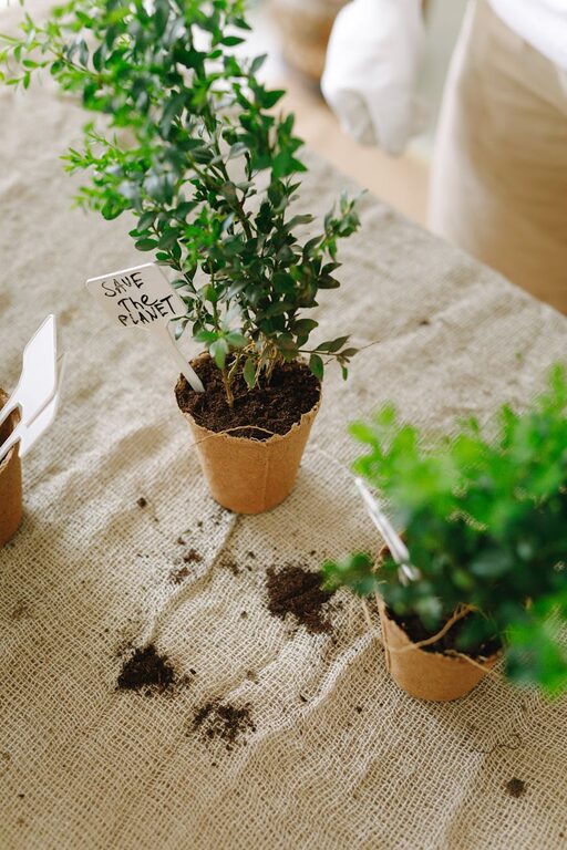 Tips for Creating a Sustainable and Eco-Friendly Home Garden