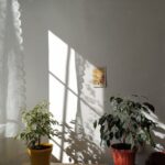 Tips for Creating a Cozy and Inviting Home Workspace