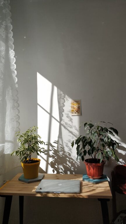 Tips for Creating a Cozy and Inviting Home Workspace